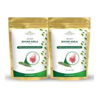 Vedikroots Bhumi Amla Powder/Churn - Organic And Pure Ingredient Extract For Healthy Liver Functioning And Digestive Strength Enriched With Essential Nutrients