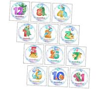 Veemoon 12pezzi Adesivi Mensili Per Stickers Per Foto e Memorie Prop Per Feste e Compleanni Sicuri e Duraturi