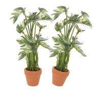 Veemoon 2 Pezzi Piante Finte Monstera in Miniatura per Casa delle Bambole, Foglie Tropicali Realistiche in Plastica Vivace, Bonsai Artificiale Decorativo per Acquari, Centrotavola