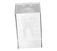 Veemoon Anatomia del Dente in Figurina Anatomico Realistico Fermacarte Strumento Educativo per Insegnare Biologia e Fisiologia