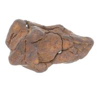 Veemoon Campione di Meteorite Educativo Litosiderite 2-3 CM Vero Meteorite per Aula di Scienze Decorazione Scientifica per e Insegnanti Esemplare Didattico per Studio e Arredamento