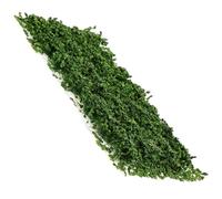 Veemoon Ciuffo D’erba Statica in Nylon Verde Scuro, Mini Arbusto Vegetale per Modellismo Ferroviario e Decorazione Paesaggistica in Miniatura, Adatto a Scenari Militari e Tavoli di Sabbia