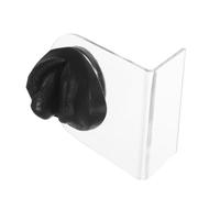 Veemoon in Silicone Flessibile per Piercing Lingua e Labbra Parte Corporea Artificiale Realistica per Training e Riutilizzabile e Facile da per Accademie e Studi Professionali