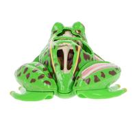 Veemoon Kit Anatomia 4d Giocattolo Educativo Stem, Biologico Smontabile per Lezioni di Scienze e Biologia Interattive in Classe a Casa