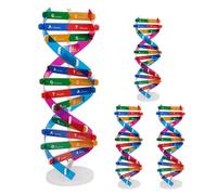 Veemoon Kit Didattico Dna Molecolare Fai da Te 4 Pezzi, Modellino Struttura Doppia Spirale per Studenti, Strumento Educativo Scientifico per Apprendimento Genetica e Biologia