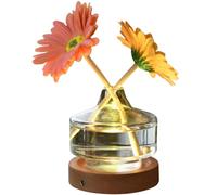 Veemoon Lampada da Notte a Vaso di Vetro Base in Legno Piccola Luce Notturna Decorativa per Camera da Letto Luce Romantica da Comodino Creativa per Ragazze e Spazi Abitativi