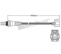 VEGAZ ULS-183 Sonda lambda