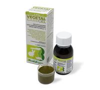 Vegetal Care Gel 100g