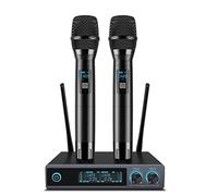 VeGue Microfono Wireless Professionale (Grey)