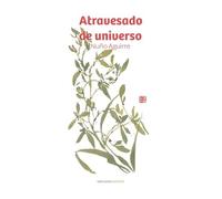 Veinticuatro destellos en lo hondo de la noche