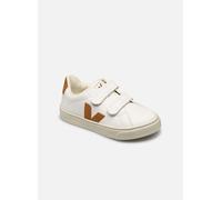 Veja - Small Esplar Velcro Bianco - Sneakers 23 Bianco