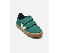 Veja - Small Esplar Velcro Suede Verde - Sneakers 32 Verde