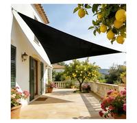 Vela Ombreggiante Impermeabile Definitiva 420D Tessuto Rivestito In PU Resistente Blocca Il 95% Dei Raggi UV Design Rinforzato For Terrazzo Pensilina Auto E Riparo Esterno(Black,5 * 5 * 5m)