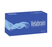 VELABRAIN 7Fl.