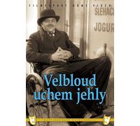 Velbloud uchem jehly (Camel Through the Eye of a Needle) box
