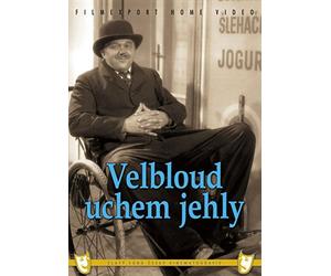 Velbloud uchem jehly (Camel Through the Eye of a Needle) box