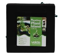 VELDA GALLEGGIANTE PIANTA ISOLA - QUADRATO 35cm