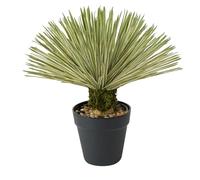 Velener Pianta di agave artificiale in vaso nero con ciottoli di pietra vera, grandi piante finte con finto muschio verde, yucca finta con foglie lunghe a forma di spada per interno/esterno, altezza