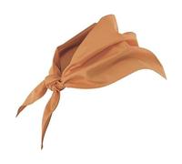 Velilla 404003/C/TU-Fazzolettone triangolare (moderno), arancione, 404003/C22/TU