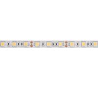 Velleman Striscia LED flessibile, autoadesiva, IP61, 300 LED, 5 m, 12 V, 4000K, bianco neutro