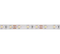 Velleman Striscia LED flessibile, autoadesiva, IP61, 300 LED, 5 m, 12 V, 6500K, bianco freddo