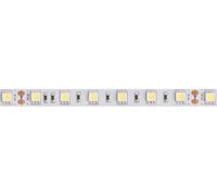 Velleman STRISCIA LED FLESSIBILE - BIANCO FREDDO - 300 LED - 5 m - 24 V