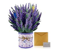 VELLUSTRA Auguri Compleanno 3D Biglietto, Fatto a Mano Biglietto Auguri Pop Up, Carta Sorpresa 3D con Busta e Biglietto con Messaggio, Regalo Commemorativo per Donne, Mamme, Ragazze