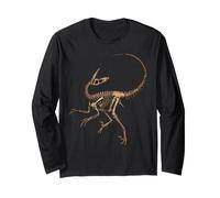 Velociraptor, Scheletro di Dinosauro, Ossa fossili Maglia a Manica
