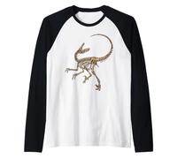 Velociraptor, Scheletro di Dinosauro, Ossa fossili Maglia con Maniche Raglan