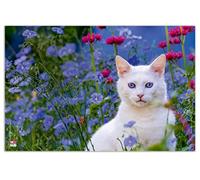VELOFLEX 4651099 - Tappetino da scrivania gatto, 40 x 60 cm, antiscivolo, lavabile, con pellicola protettiva trasparente antiriflesso, tappetino da scrivania, tappetino per dipingere