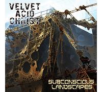Subconscious Landscapes - Velvet Acid Christ (Audio CD)