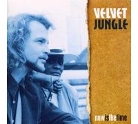 VELVET JUNGLE - NOW IS THE TIME