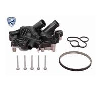 Vemo Pompa Dell'Acqua + Kit Cinghia Dentata Per Audi Seat Skoda VW