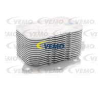 VEMO Radiatore olio motore