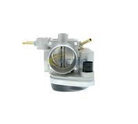VEMO V10-81-0060 Corpo farfallato