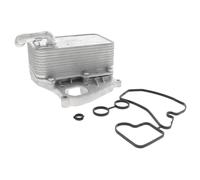 Vemo Radiatore olio motore V15-60-6070 compatibile con VW 059117015P