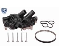 VEMO V15-99-2130 Kit cinghia distribuzione pompa acqua per VW TIGUAN (5N)