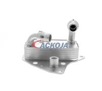 VEMO V24-60-0051 Radiatore olio motore