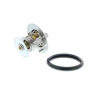 Vemo V25-99-1705 Termostato, Refrigerante