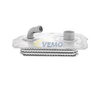 VEMO V30-60-0004 Radiatore olio motore