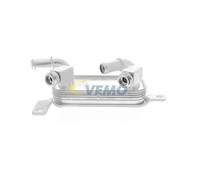 VEMO V40-60-0018 Radiatore olio, Cambio automatico