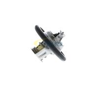 Vemo V49-99-0001 Termostato, Refrigerante