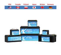 Vendita in STOCK UE 12V 24V 100Ah 120Ah 300Ah LiFePO4 Batteria integrata in serie/Parallelo BMS Cicli profondi per camper Camper Golf Cart ecc.