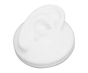 Vendite Pazze Modello dell'orecchio, simulazione della trama liscia Modello dell'orecchio umano per l'ospedale per il laboratorio per la fabbrica per la scuola di medicina(Orecchio destro)