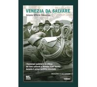 Venezia da salvare. I funzionari pubblici e la difesa dei beni culturali a Venez