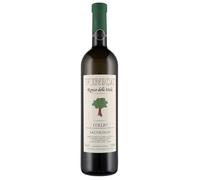 Venica & Venica Sauvignon Ronco delle Mele Collio DOC 2024 0,75 ℓ