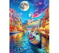 Venice Canal at Night Under The Stars Puzzle 300 Pezzi Gioco Educativo Intelligente Wildlife Pet Per Ragazzi Creatività E Logica Idea Regalo Natale Per Famiglia 300 PCS