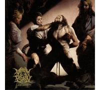 Venom Prison Animus (CD) Album