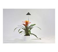 Venso SUNLiTE Lampada per Piante 7W - grigio