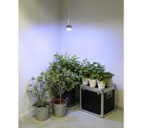 Venso E27 Lampada per l'Inverno - 18 Watt